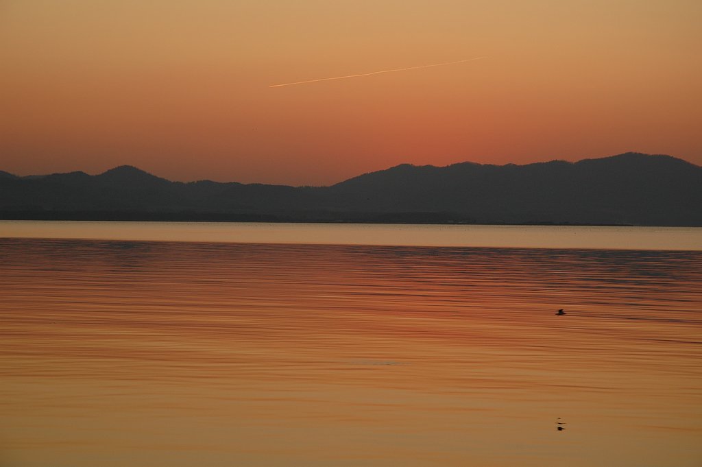 夕日、のこり日