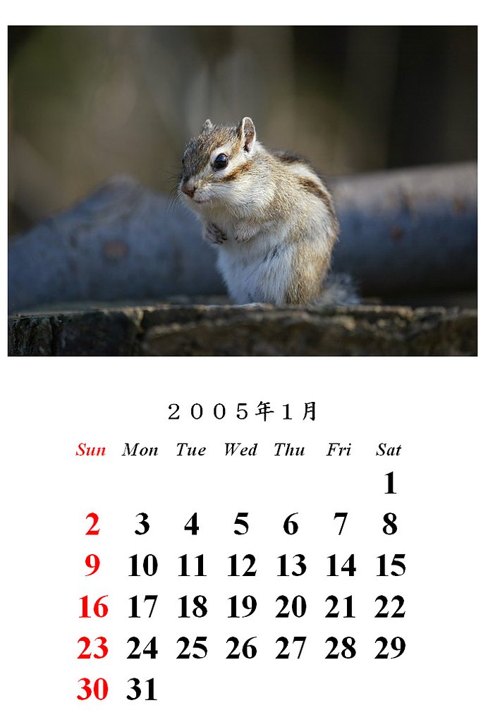 謹賀新年