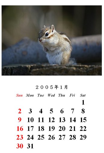 謹賀新年