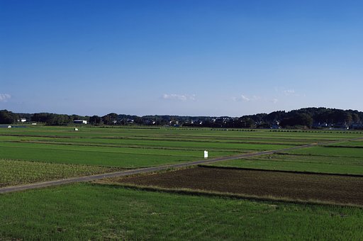 収穫その後・・・