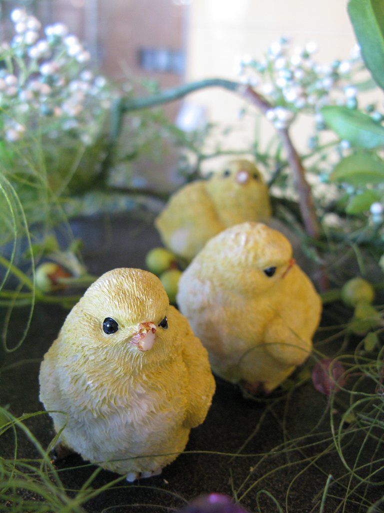 お散歩