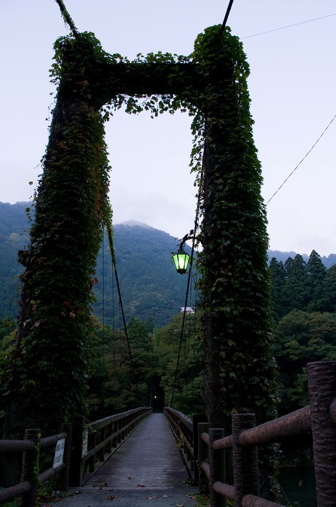 恋のつり橋