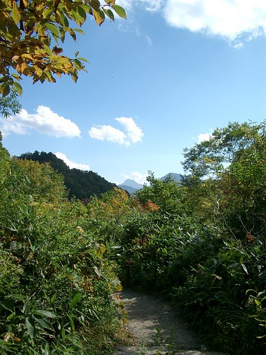 〜　秋の尾瀬‐52　〜