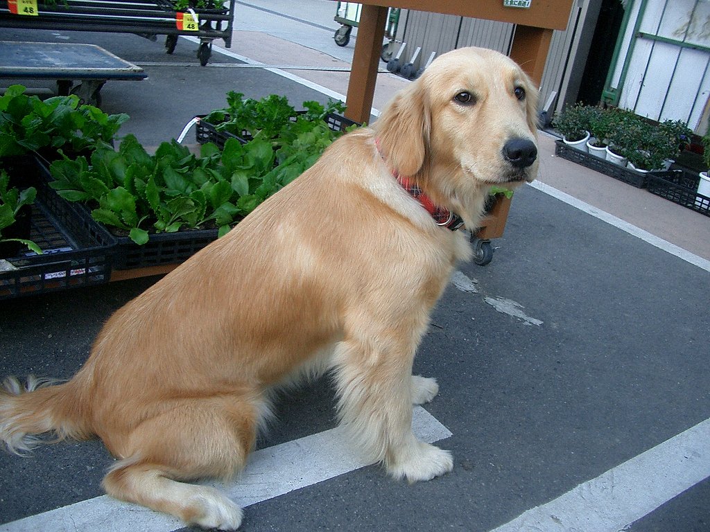 待つ