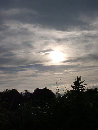 梅雨どきの夕暮れ-３