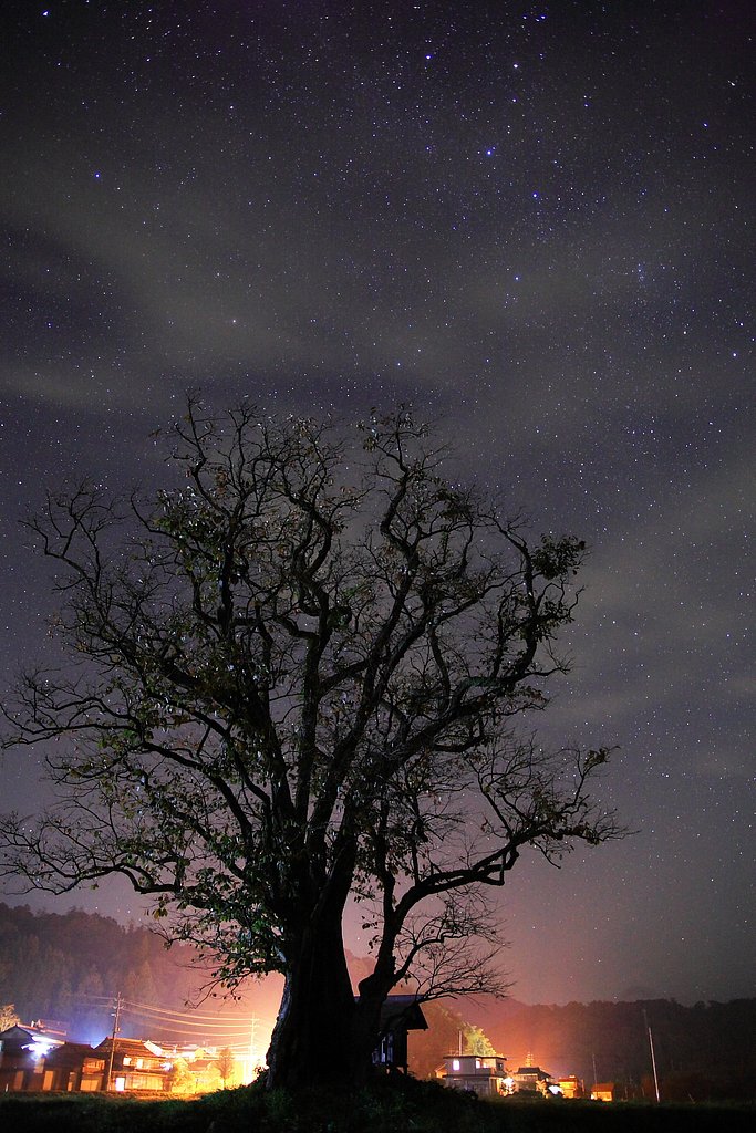 秋の夜長