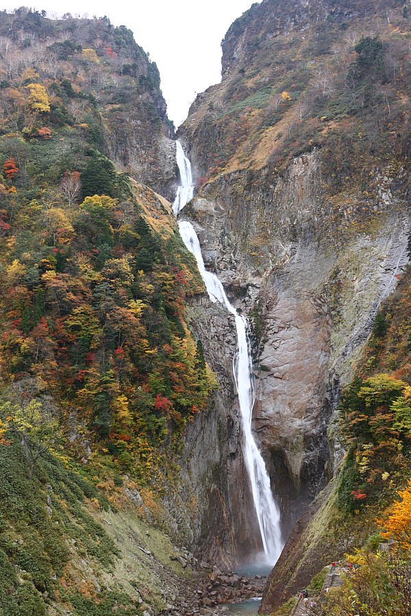 称名滝の紅葉
