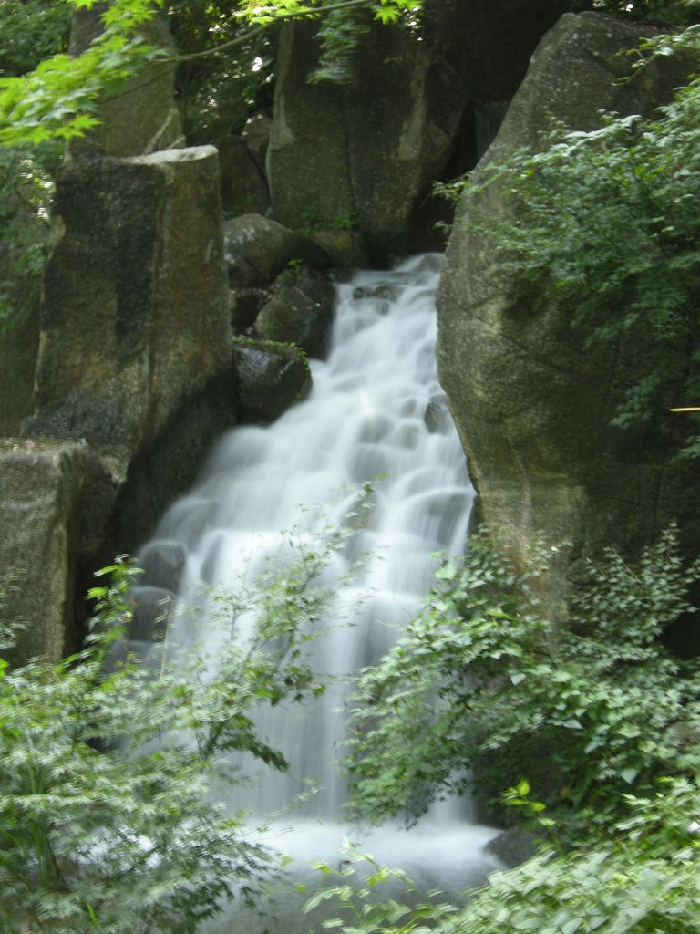 徳川園にて