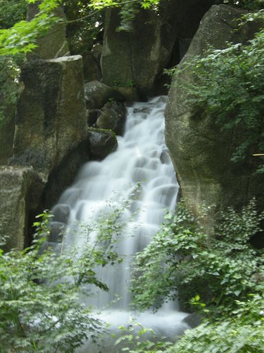 徳川園にて
