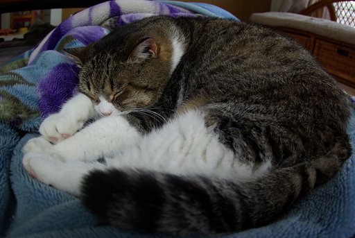 ぐっすりおやすみ