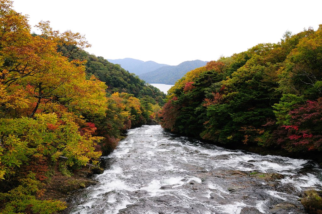 竜頭の滝から中禅寺湖を望む