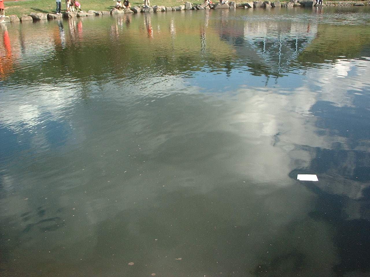 水面に映る