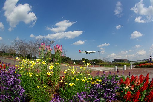 桜の山公園の風景