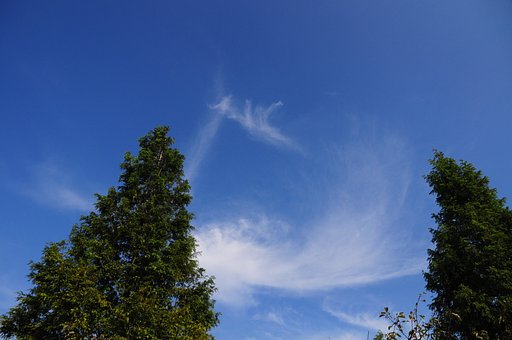 秋の雲