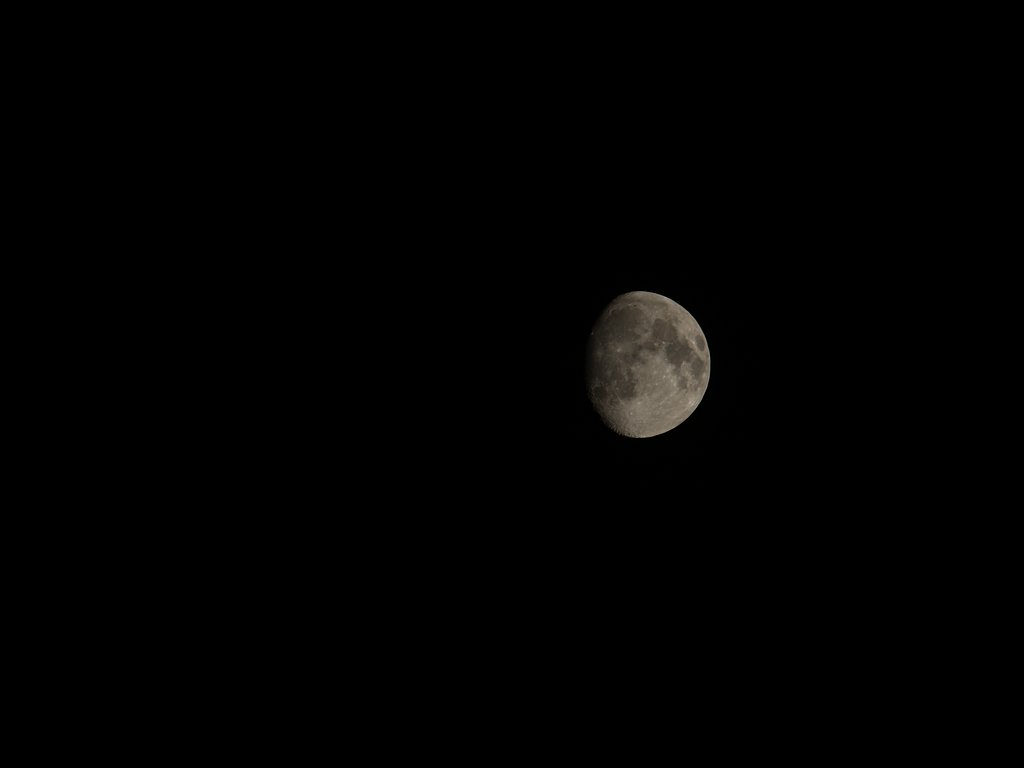 今夜の月