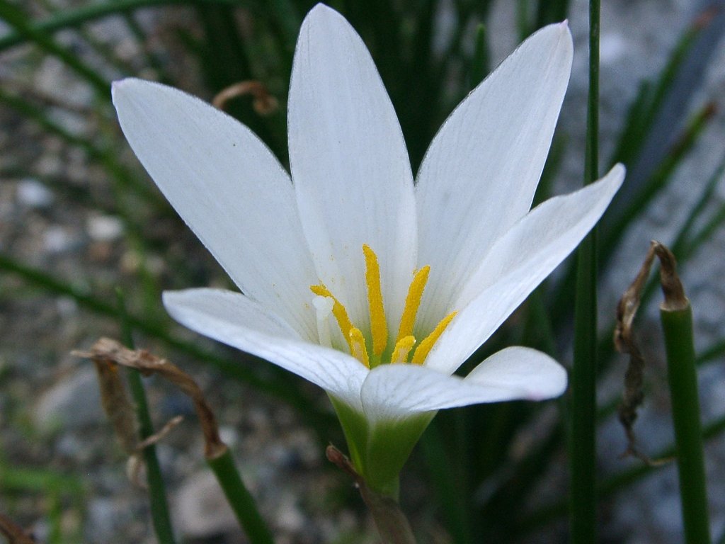 惜夏その2
