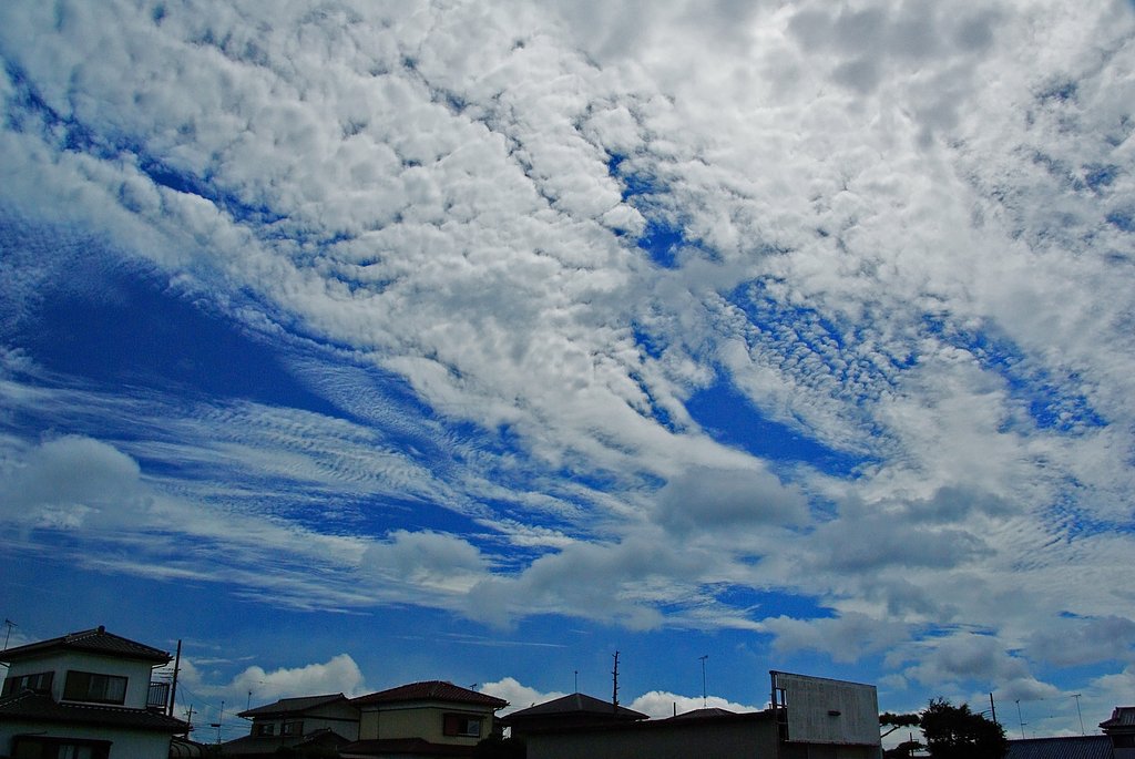 雲のスケッチ
