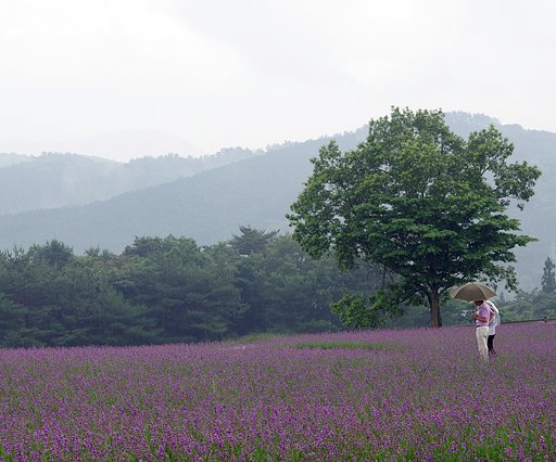 寄り添って