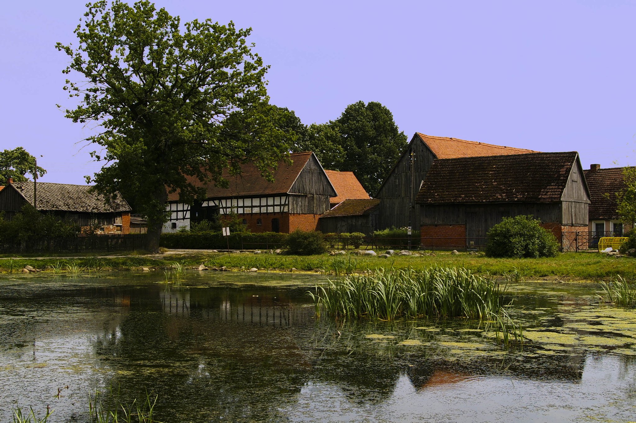 Village
