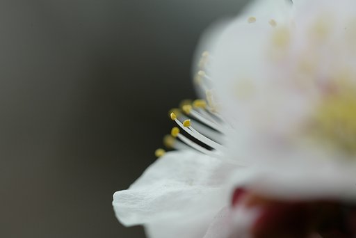 目覚め