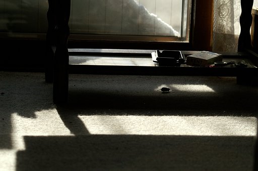 真昼の侵入者
