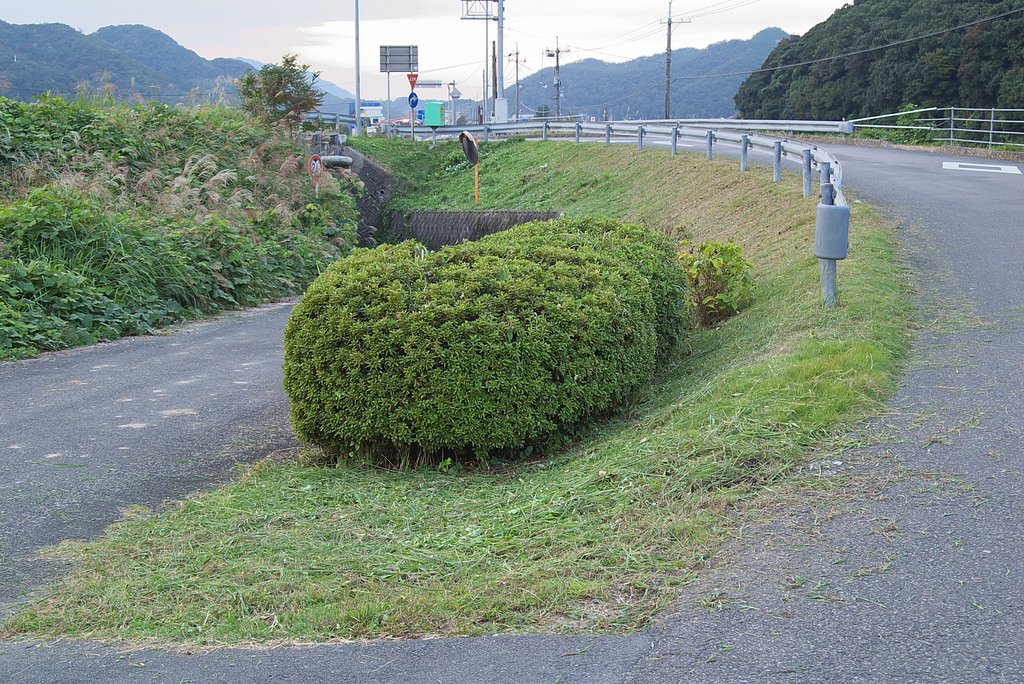 入口のバス停付近草刈-1