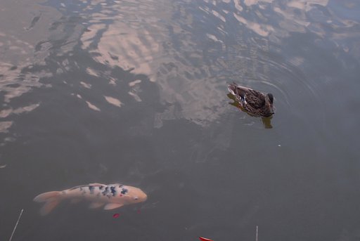 お久しぶり