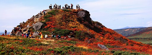 山頂はラッシュ！
