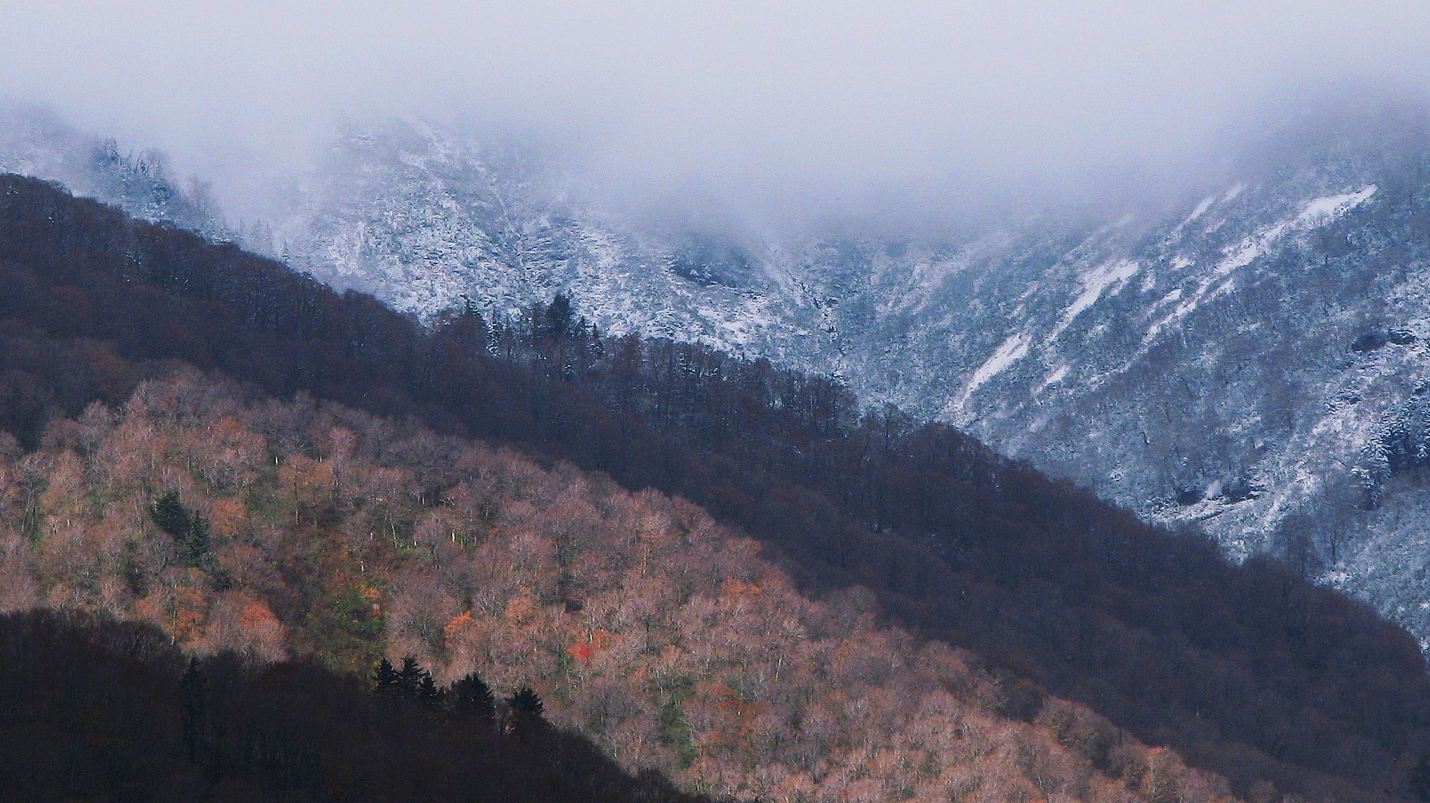 雪化粧