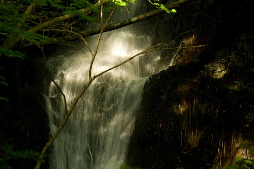 落水と日差し