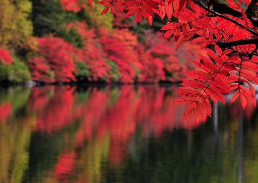 湖畔の秋