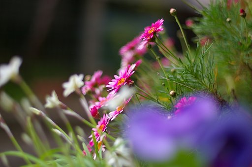 群華