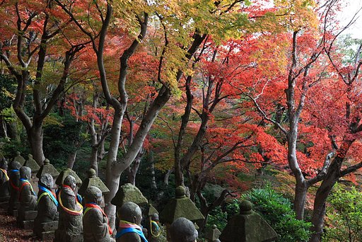 羅漢さんと紅葉