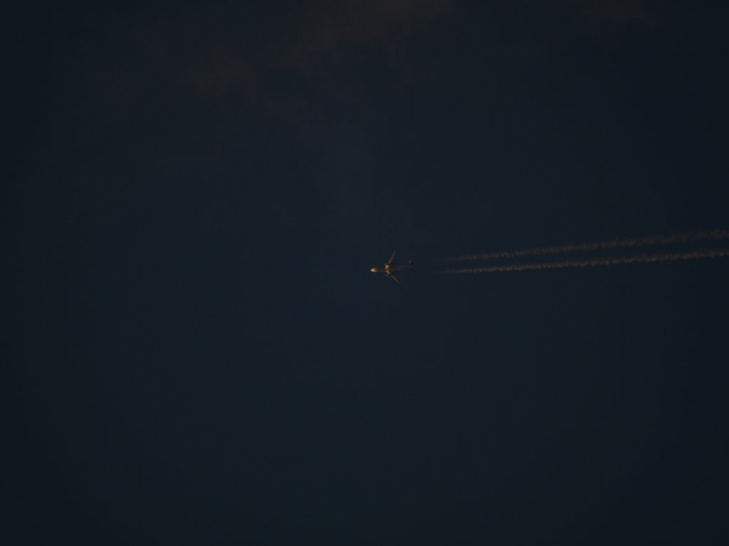 飛行機