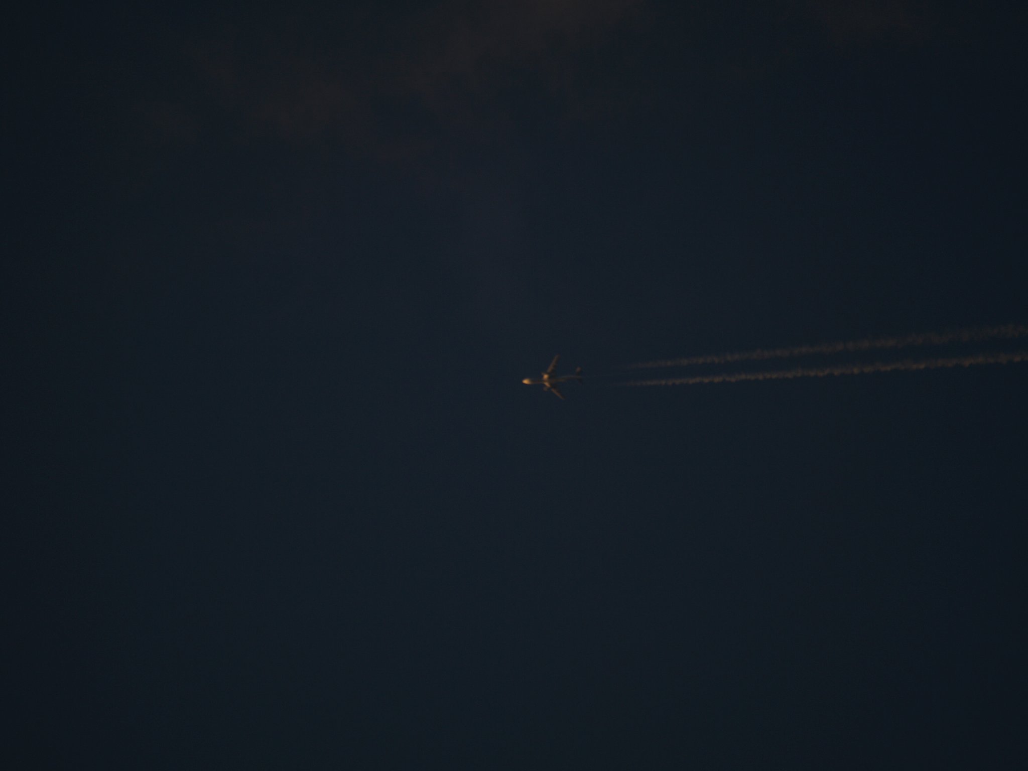 飛行機