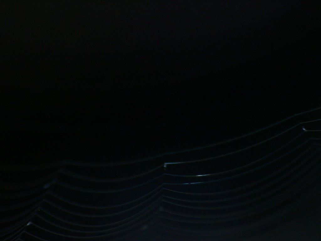 罠