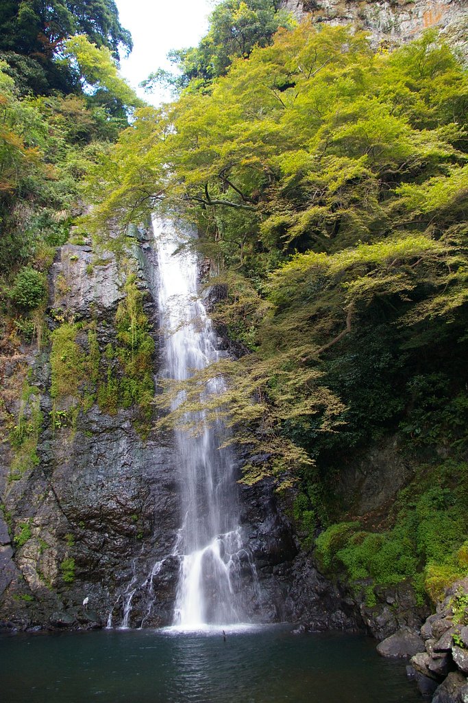 滝に