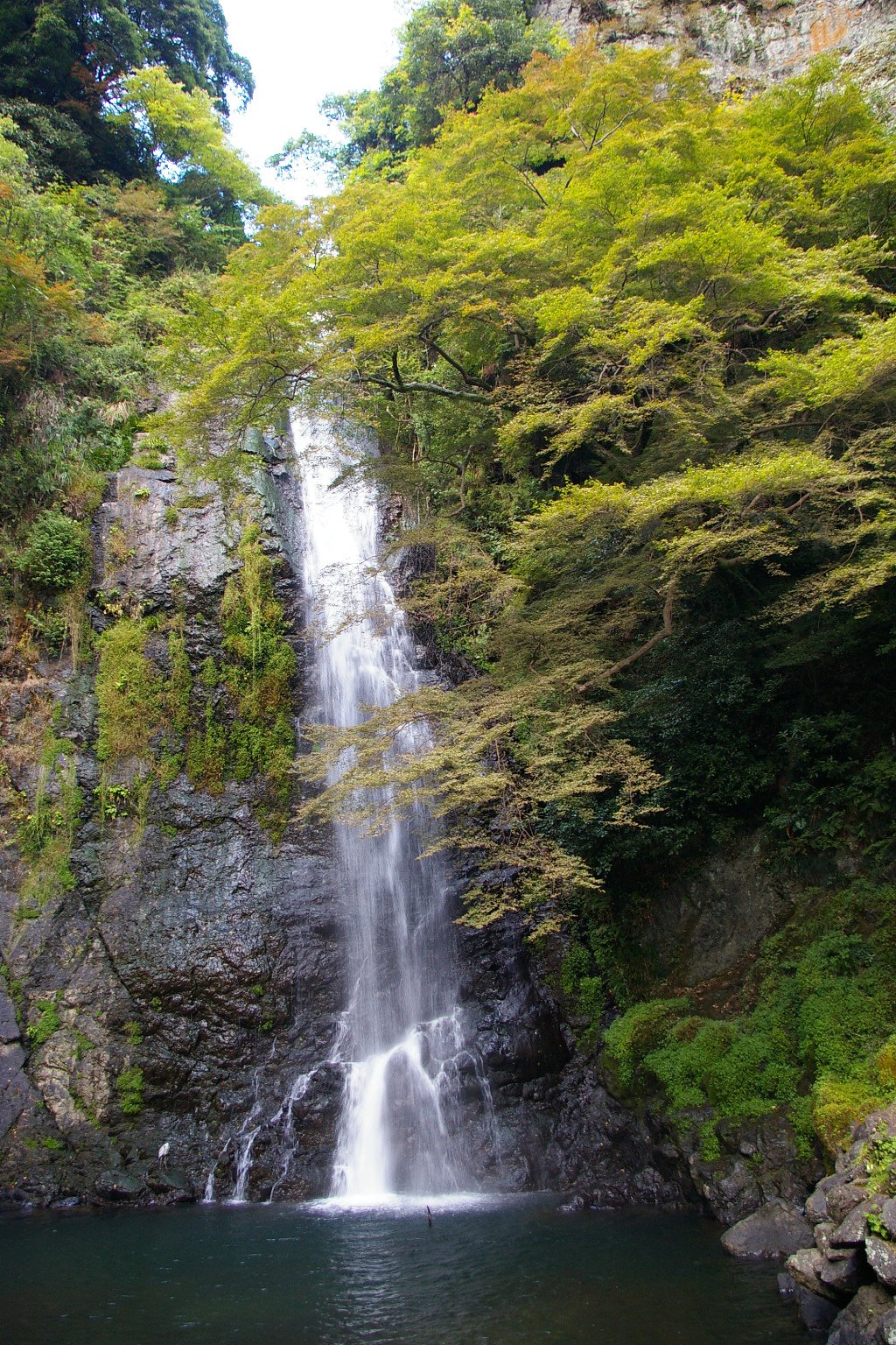 滝に