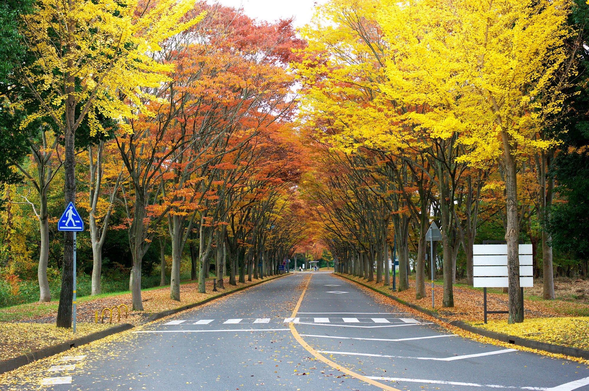 大学構内・・・