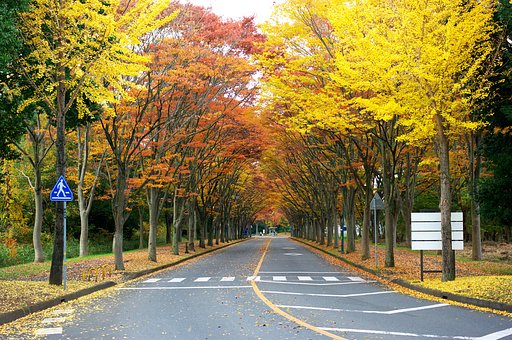 大学構内・・・