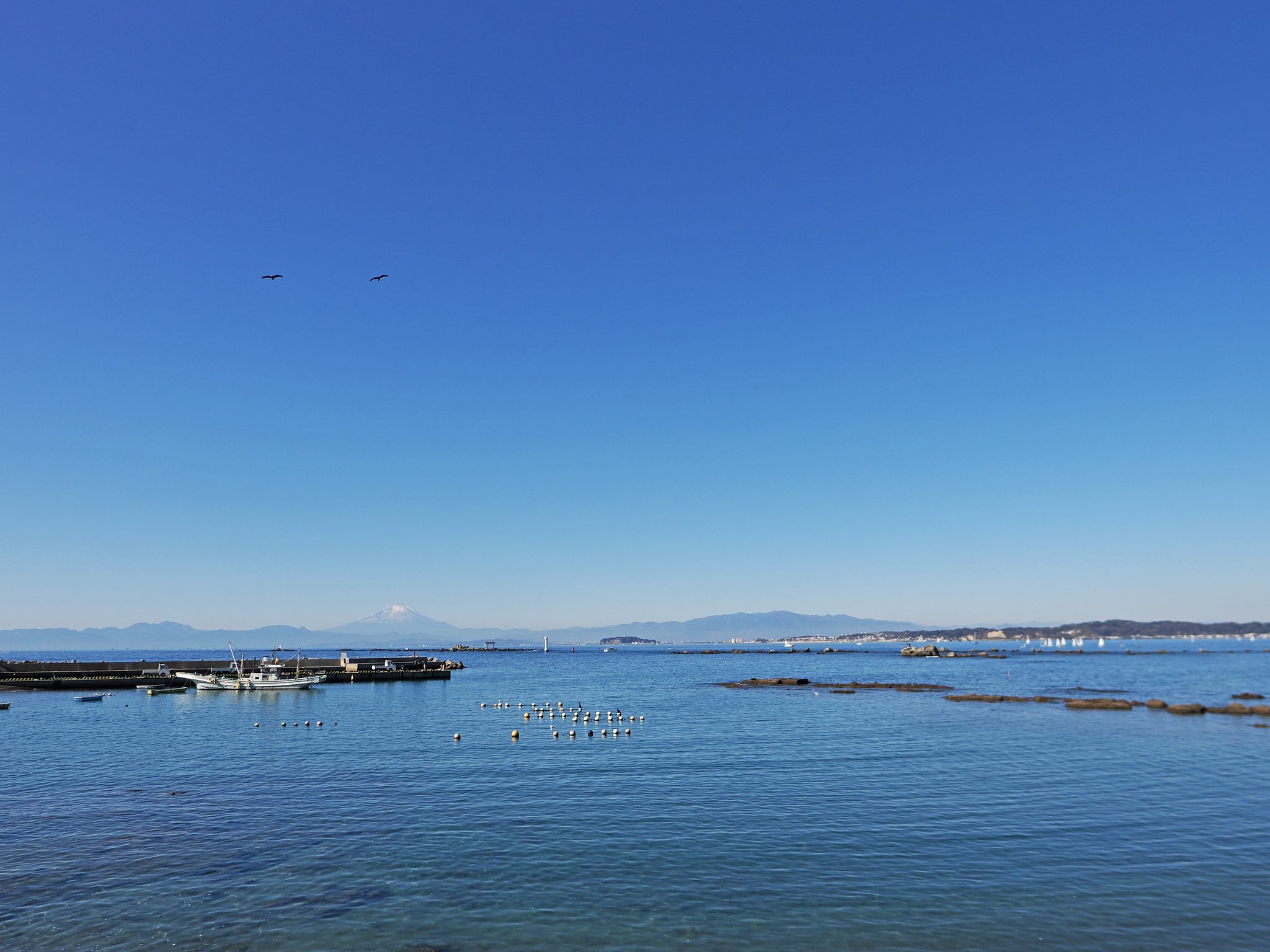 碧の世界〜◎SUMMILUX 12mm/F1.4