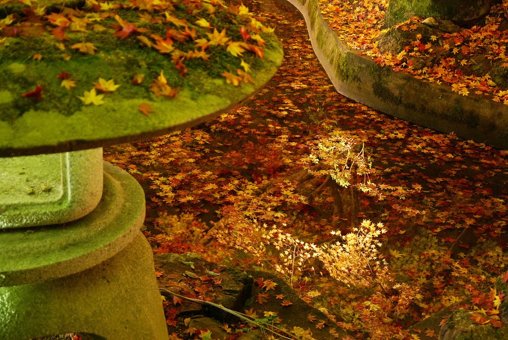 池と紅葉