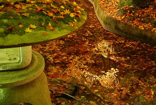池と紅葉
