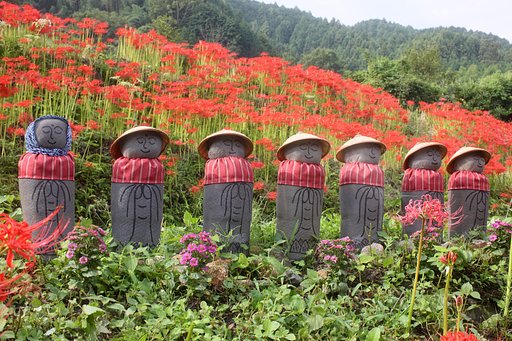 彼岸花と案山子