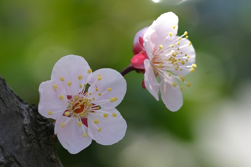 春めいて