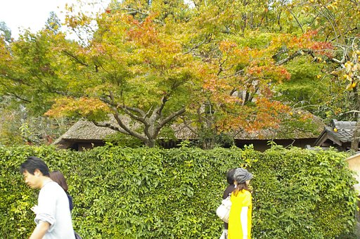 観光客のそぞろ歩き