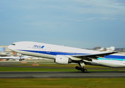 コンデジ３倍ズームでここまで接近できるところがありました