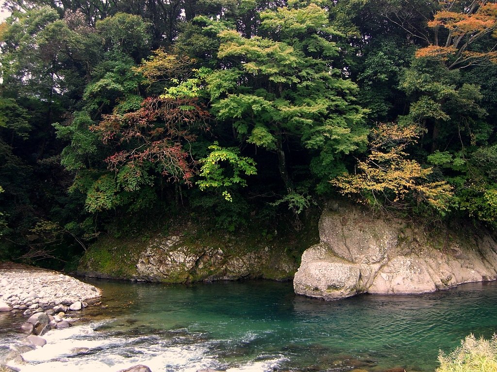 天城山の麓の淵