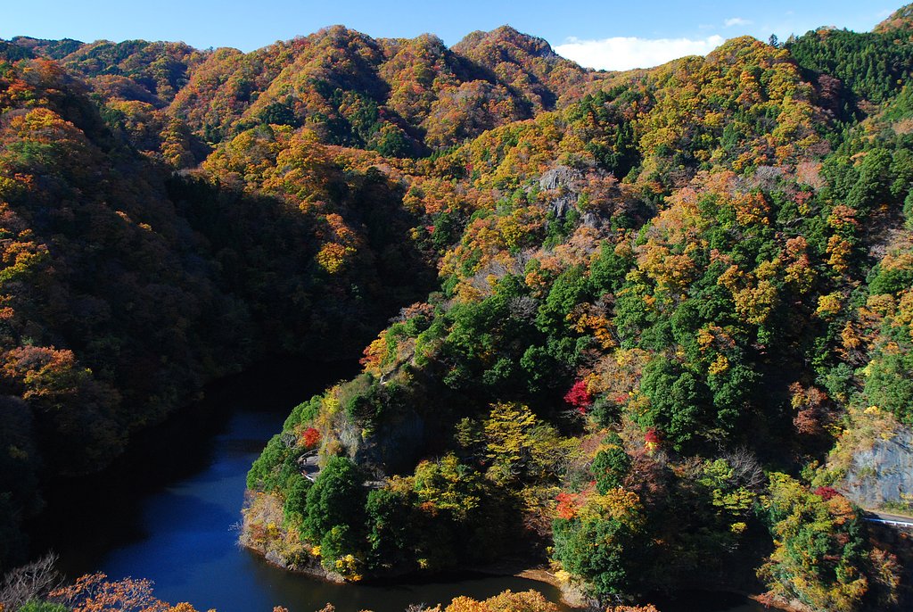 紅葉たけなわ