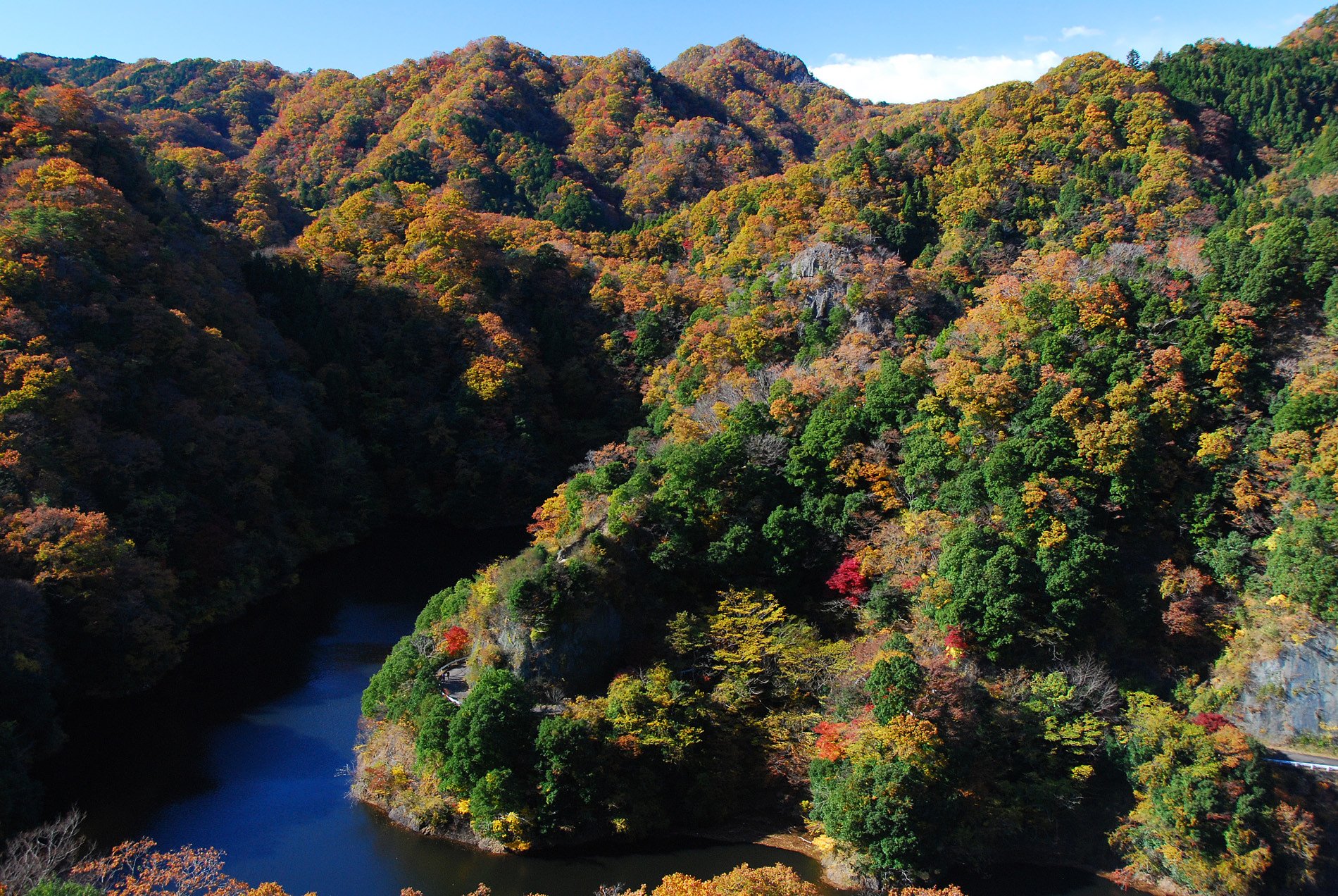 紅葉たけなわ